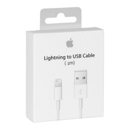 APPLE CAVO LIGHTNING A USB 1 MT (MXLY2ZM/A)